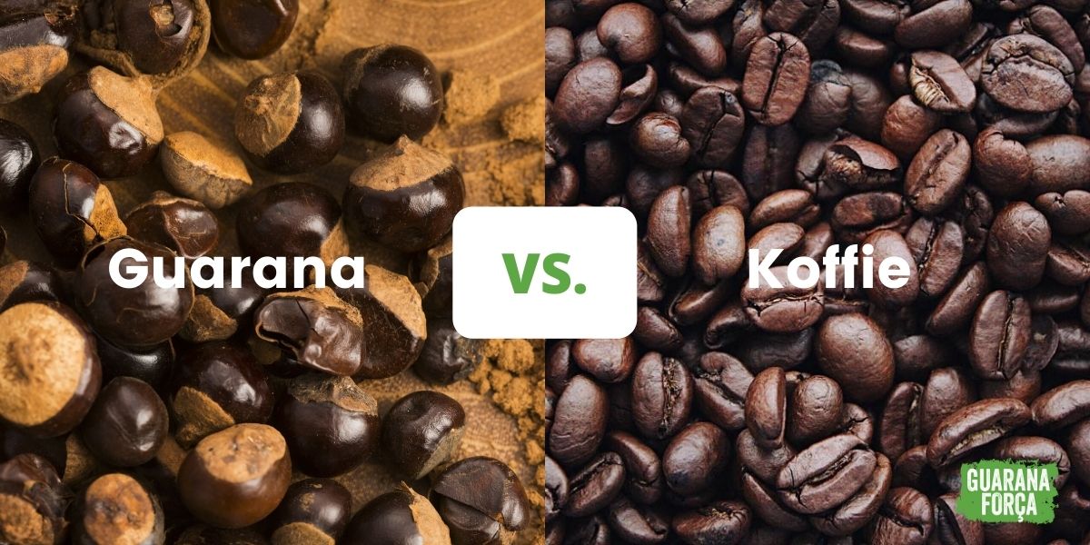 Wat is het verschil tussen Guarana en Koffie
